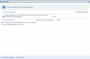 oracle_wget_option